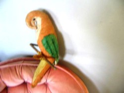 parrot old_05